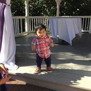 Meet your Posher, Stella